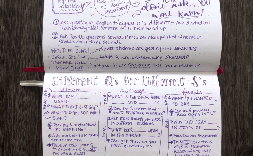 Doodle Notes for Comprehension Questioning